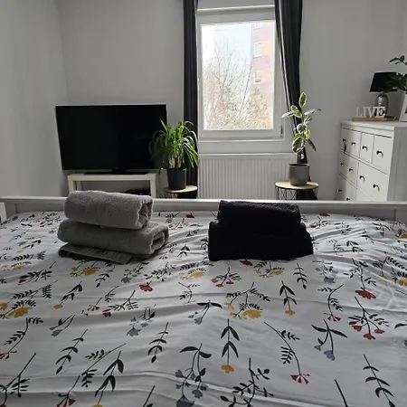 41 * 옐레니아구라