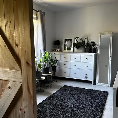 Apartment 41