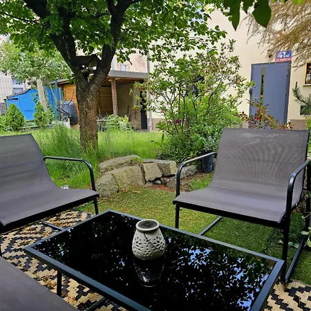 41 * 옐레니아구라